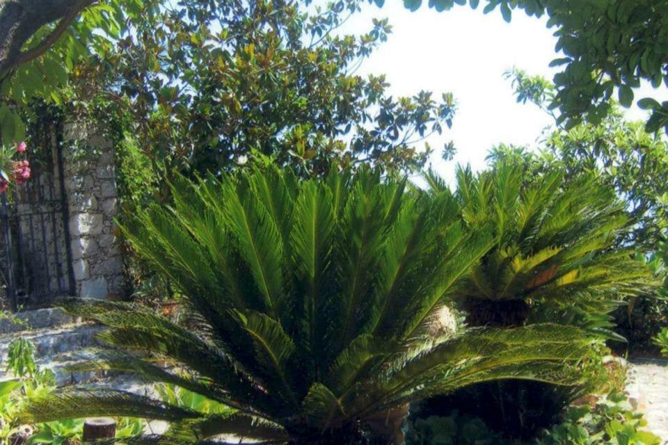 Villa Branco Taormina Buitenkant foto